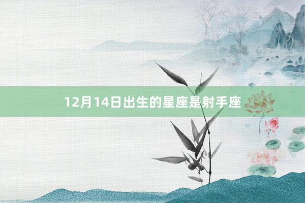 12月14日出生的星座是射手座